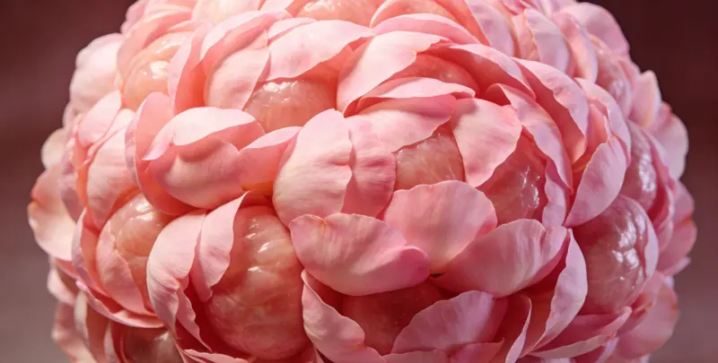 忻州BRCA1/2乳腺癌卵巢癌基因检测图片1